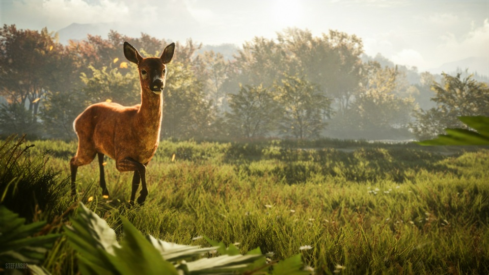 Зов Охотника в Дикой природе