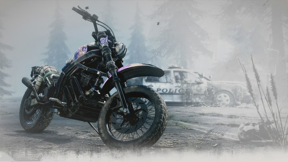 Видеоигра Days Gone 2019 4k