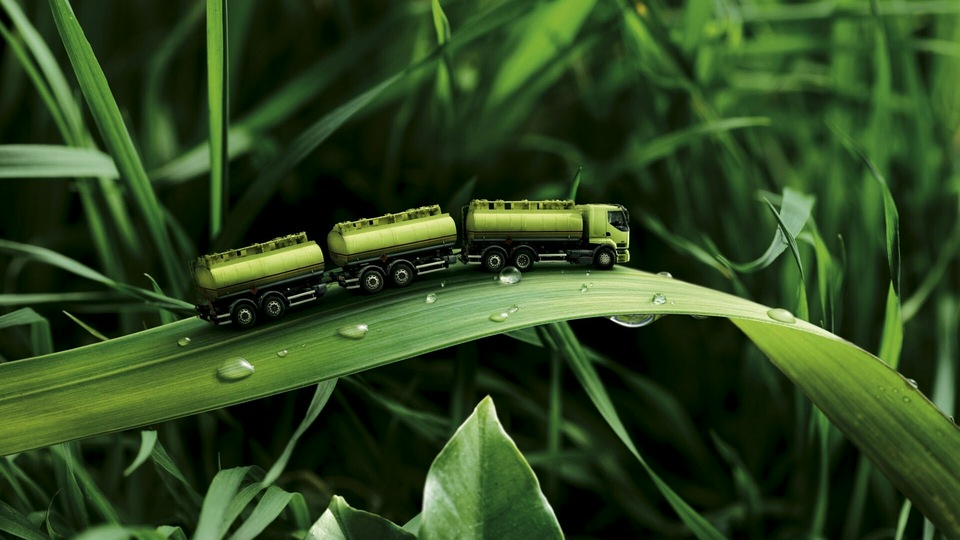 Грузовик Nature Art