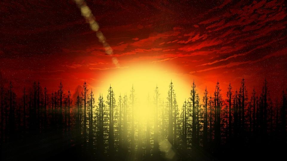 Абстрактные лесные деревья