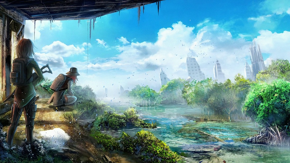 Мангровая платформа 4k