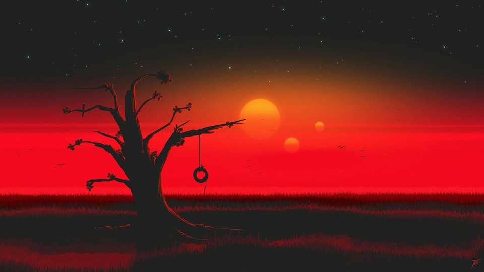 Ствол дерева 4k