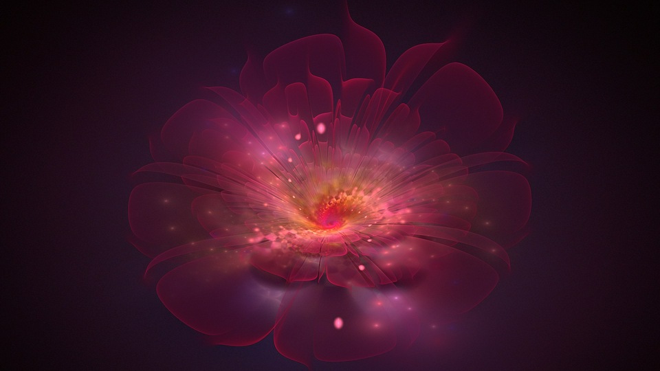 Цветок мечты 4k