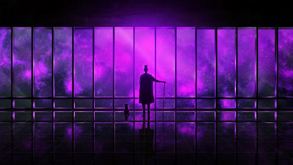 Наблюдая за миром в 4k