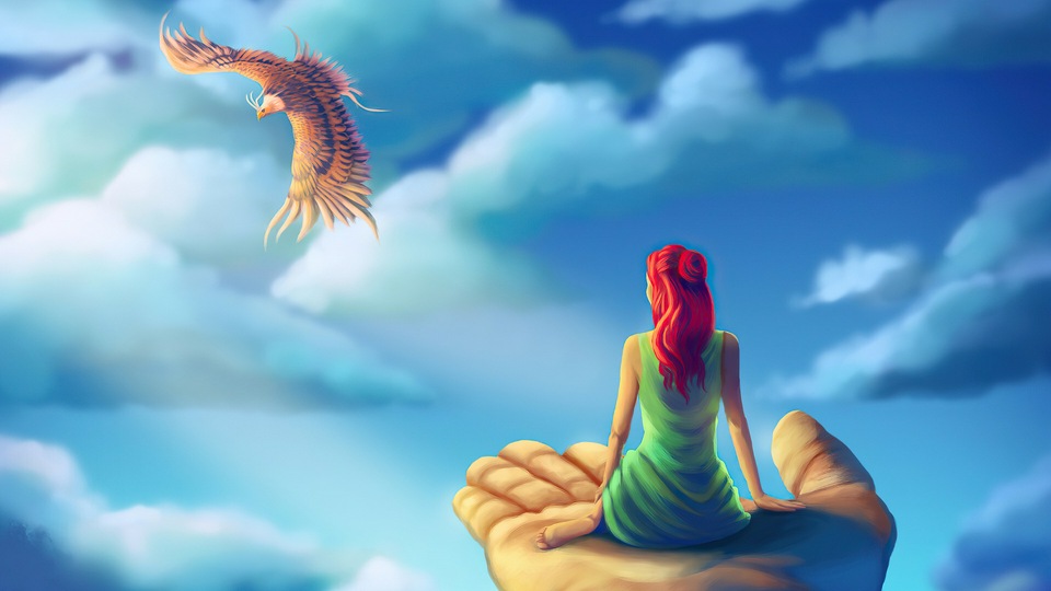 Наблюдение за птицами 4k