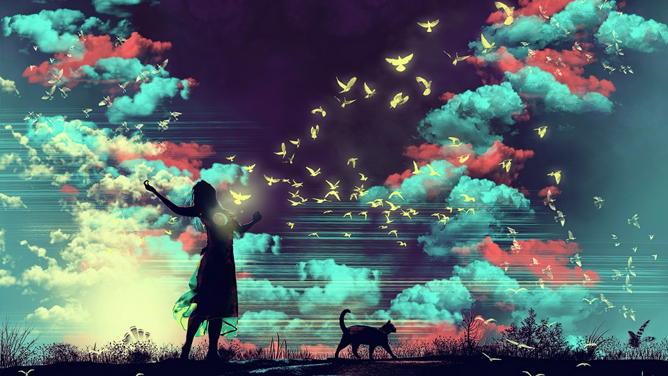 Душа Птицы 4k