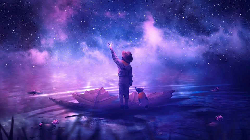 Путешественник