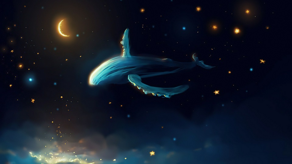 Китовый день 5k