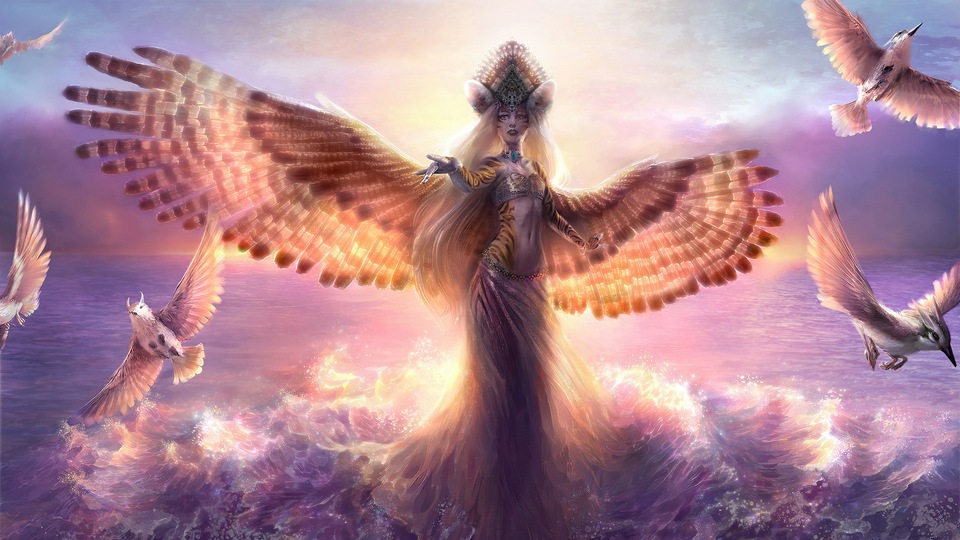Королева птиц 4k