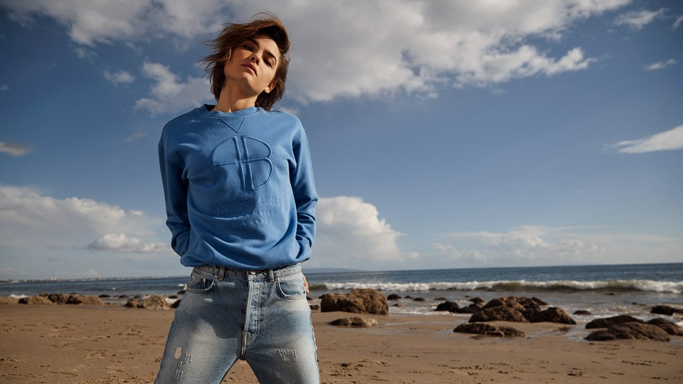 Анин Бинг 4k