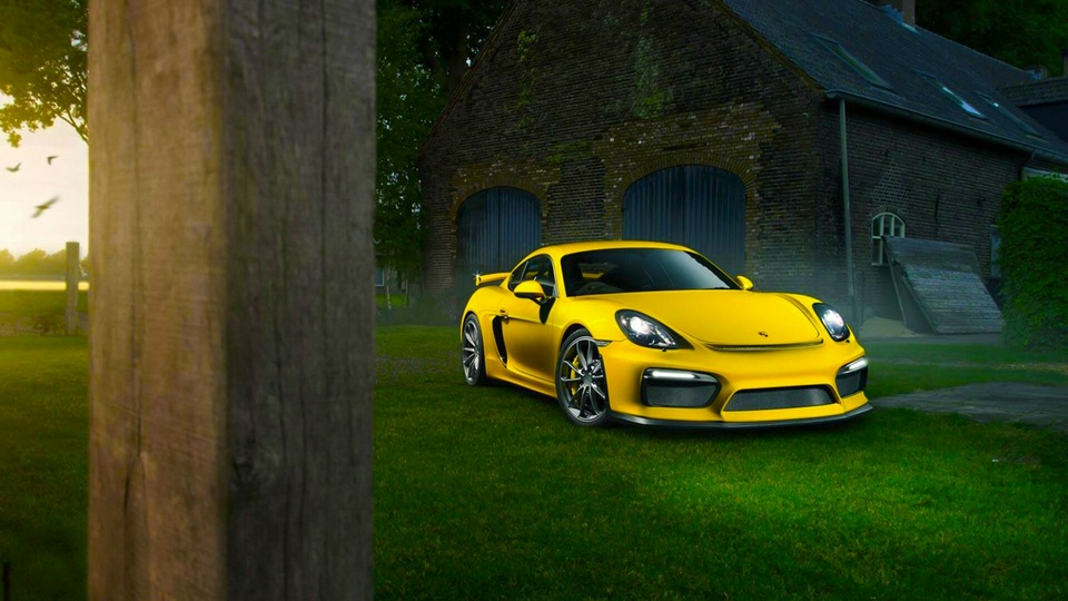 Porsche Cayman в природе