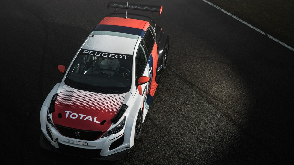 Peugeot 308 TCR 2018 Вид сверху