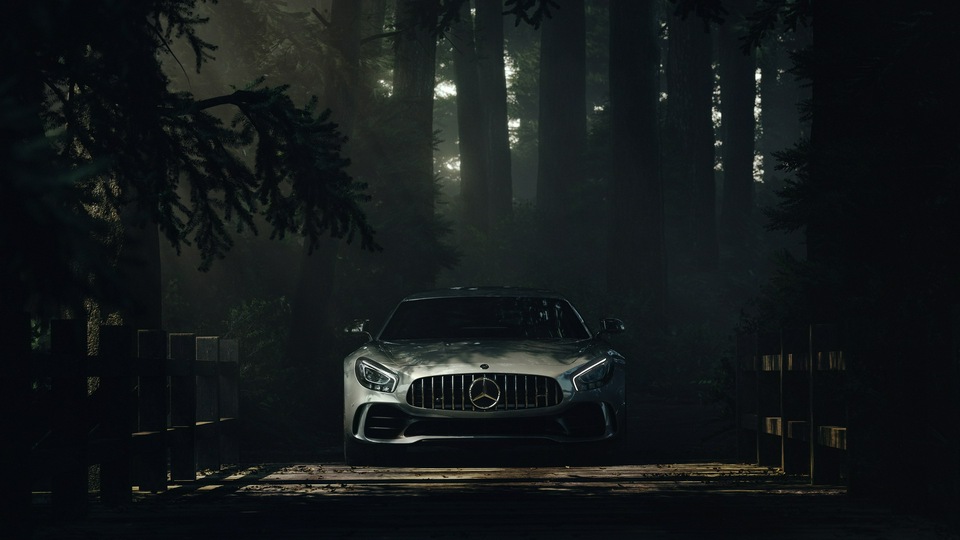 Mercedes Benz Amg GT Forest