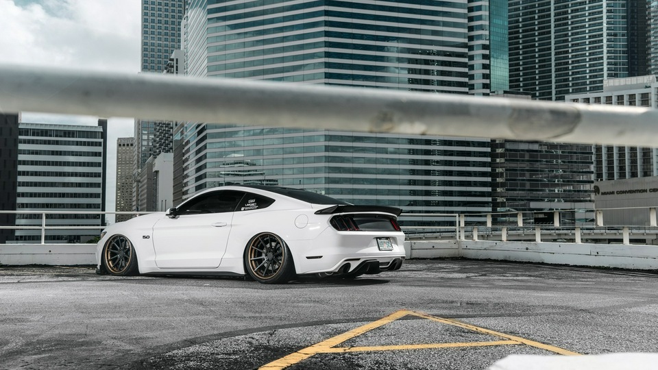 Mustang S 550