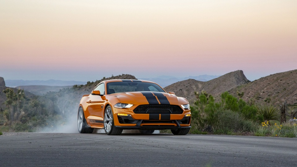 2019 Shelby GT S