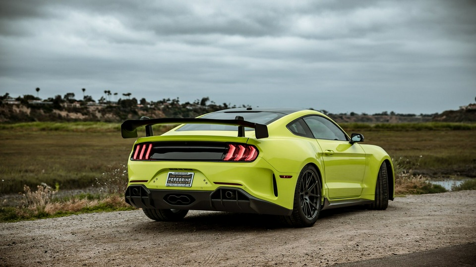 2019 Ford Mustang Revenge GT сзади