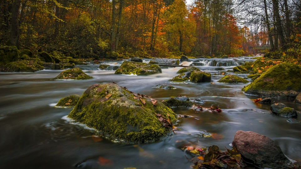 Краски Осени