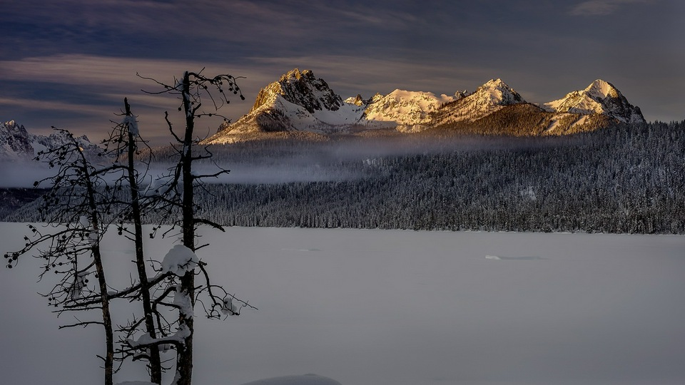 Зимний Лесной пейзаж Природа Снег