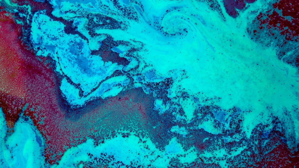 Коралловый риф 5к