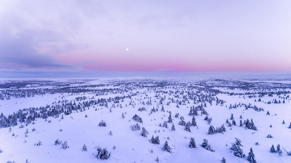 Заснеженное поле 4k