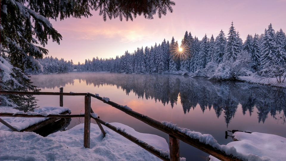 Зима Снег Деревья Природа на открытом воздухе