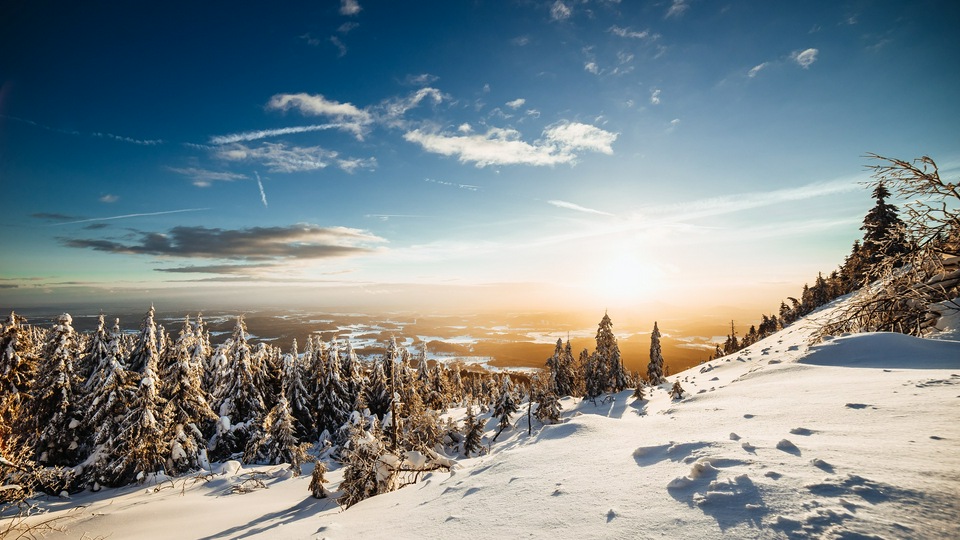 Небо Снег Ели Деревья 5k