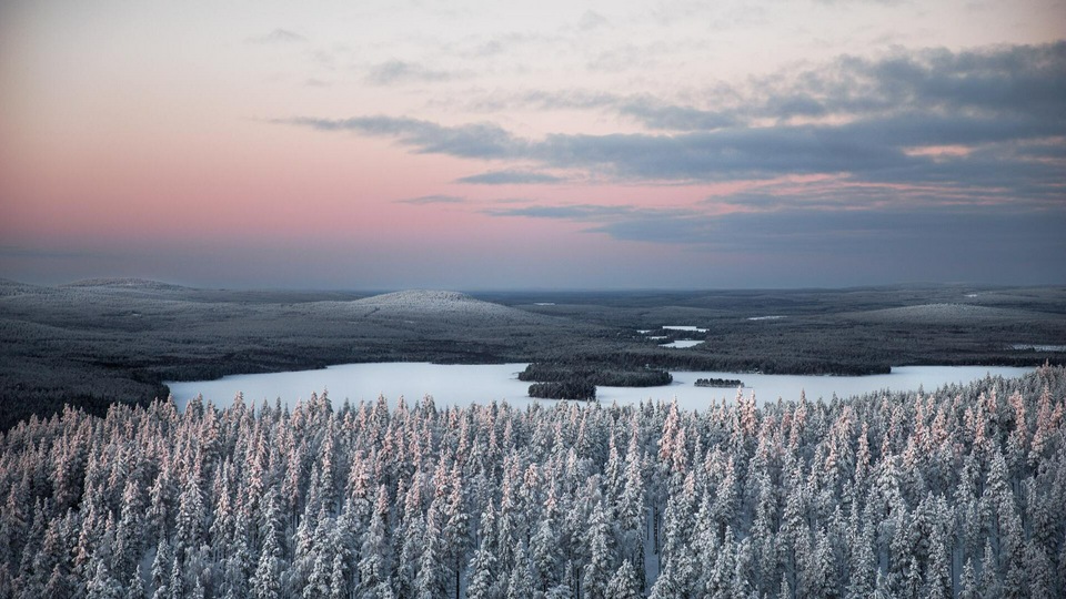 Заснеженные сосны 5к