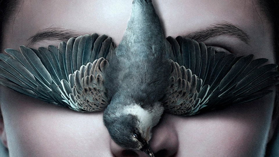 Тельма 2017 4k