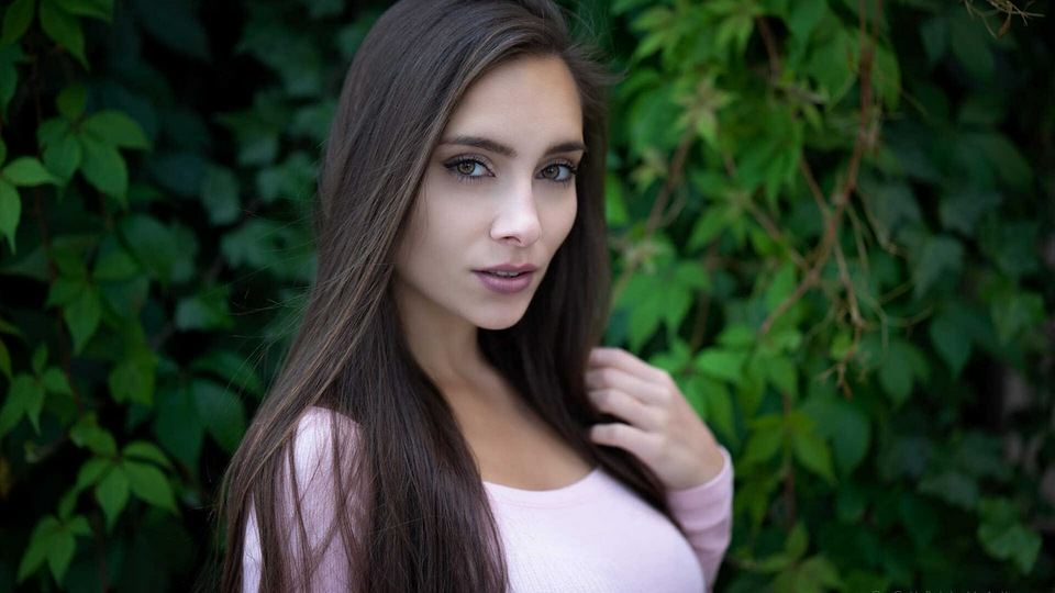 Модель Павлина