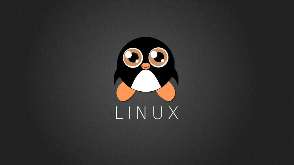 Peguin Linux