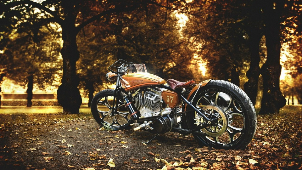 Мотоцикл Harley Davidson