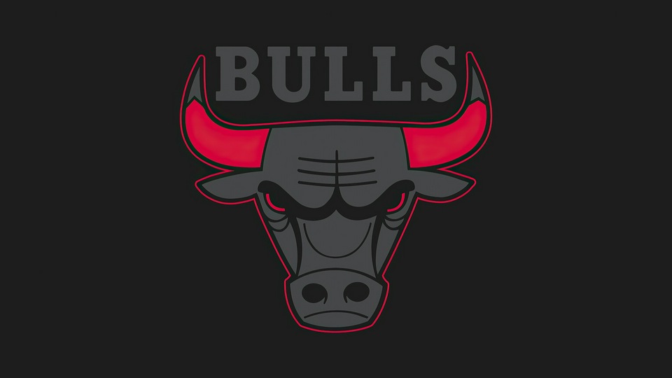 Логотип Chicago Bulls