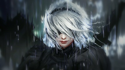 2b Искусство девушки-автомата Nier Automata