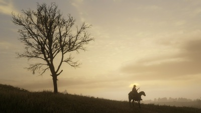 2018 Red Dead Redemption 2 PS4 4k