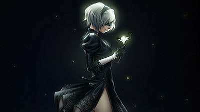 2b Хождение по цветам