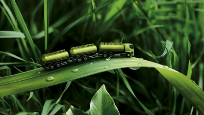 Грузовик Nature Art