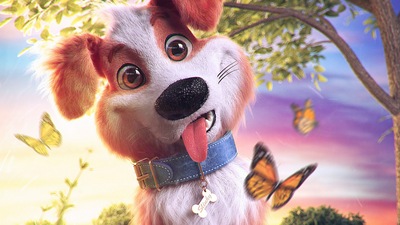 Обтягивающая собака