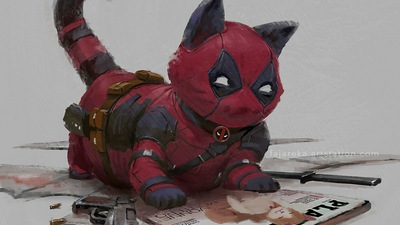 Кошачий бассейн