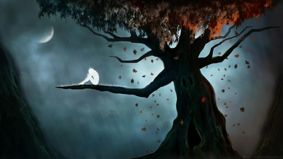 Есть ли у деревьев Души