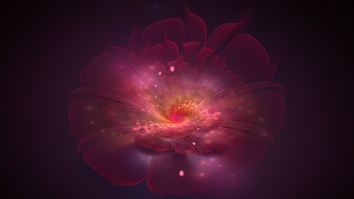 Цветок мечты 4k