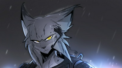 Дождливый день Пушистая рысь 4k