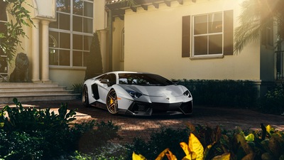 Матовый Lamborghini Aventador