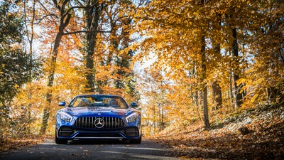 Mercedes AMG GT C Родстер 2018