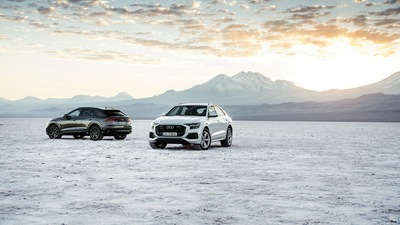 Автомобили Audi Q8