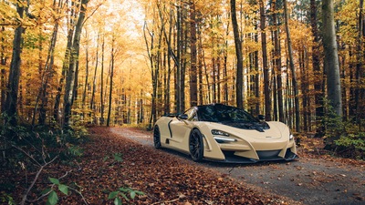 Novitec Mclaren 720s 2019