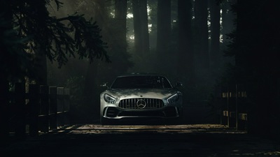 Mercedes Benz Amg GT Глубокий лес