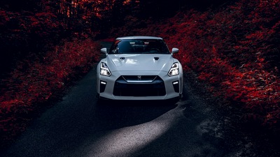 Nissan GTR Новый 2019