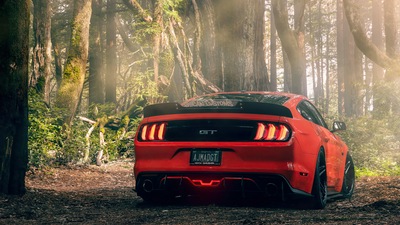 Ford Mustang Gt Таможня Чикаго