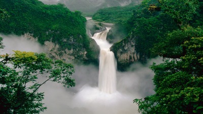 Зеленый лесной водопад