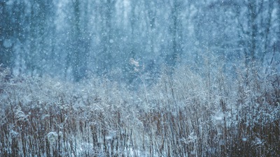 Зимнее снежное поле 5к